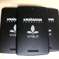 Внешний диск для компании "MAISADOUR"