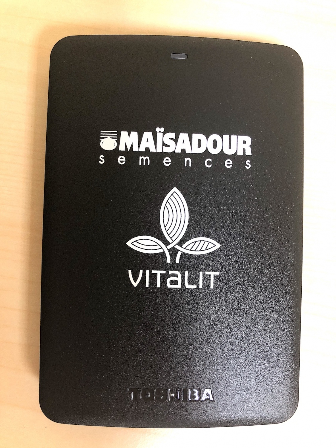 Внешний диск для компании "MAISADOUR"