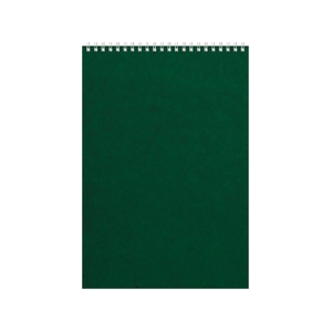 Бизнес - блокнот Альт А4 (198 х 285 мм) "Office" 60 л., зеленый