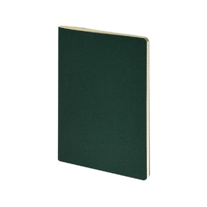 Бизнес-тетрадь А4 "Pragmatic",  40л., клетка, зеленый